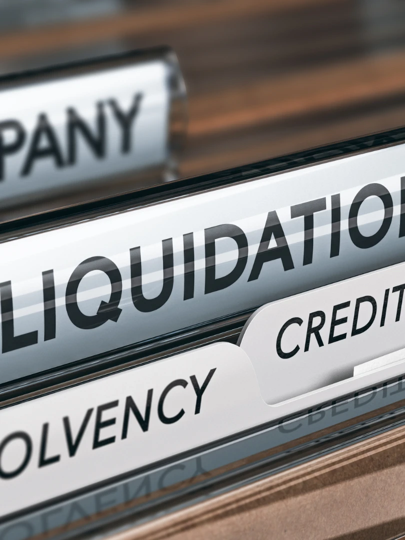 Análisis de rentabilidad por línea de negocio